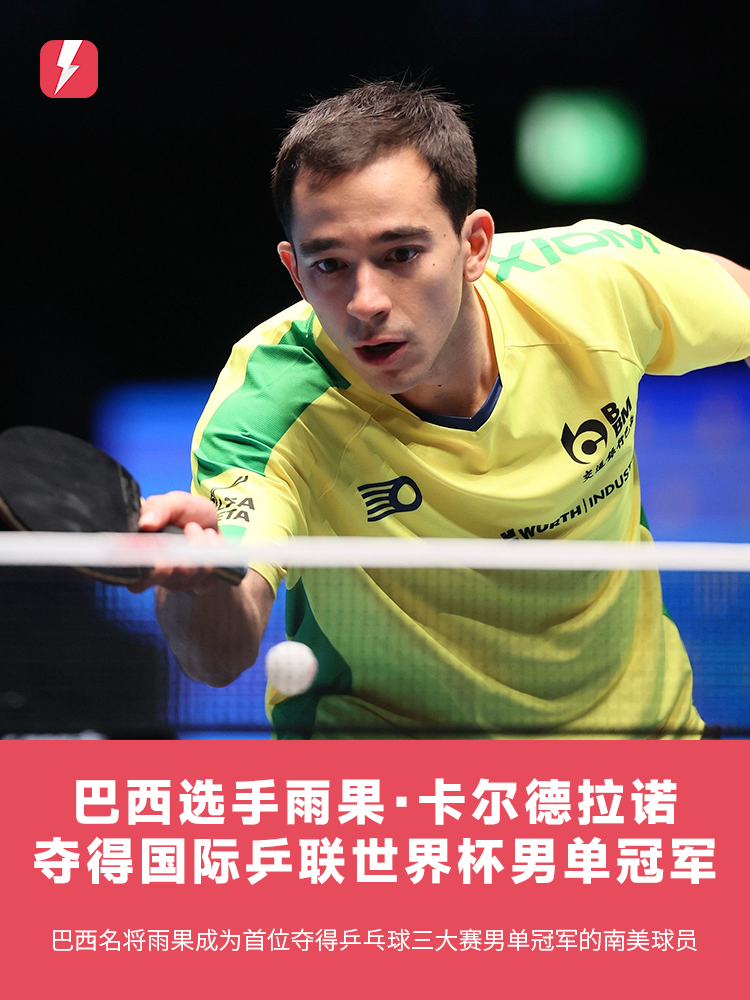 双边翼卫全 双边翼卫全